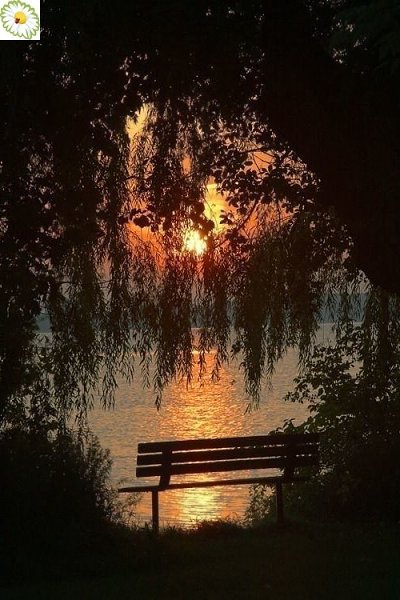   ,    . - 9  2020  21:12 - 4