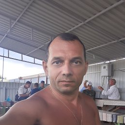 , 47, 