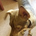 ���� �����, �����, 57 ��� - ��������� 23 ����� 2020 � ������ ���� ����������