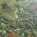 , ,07.07.20.8.40.    2020