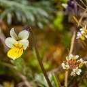  ,  -  2  2020     2020