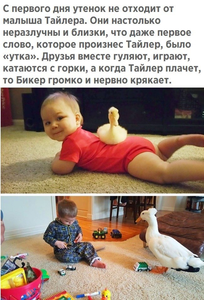 )