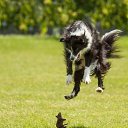 ���� �����, ���������, 61 ��� - ��������� 17 ������ 2020 � ������ �����