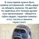 ���� �������, �������, 56 ��� - ��������� 5 ���� 2020 � ������ ���� ����������