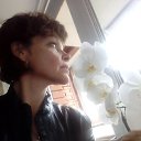 ���� �����, �����-���������, 59 ��� - ��������� 17 ����� 2020