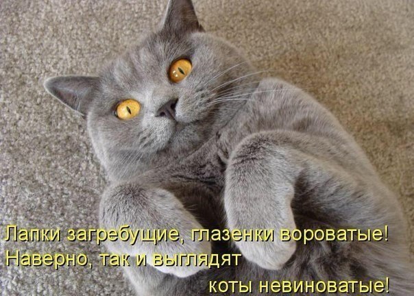    - 23  2020  18:30