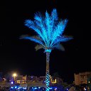 ���� ����, ����������, 66 ��� - ��������� 6 ����� 2020 � ������ ���� ����������