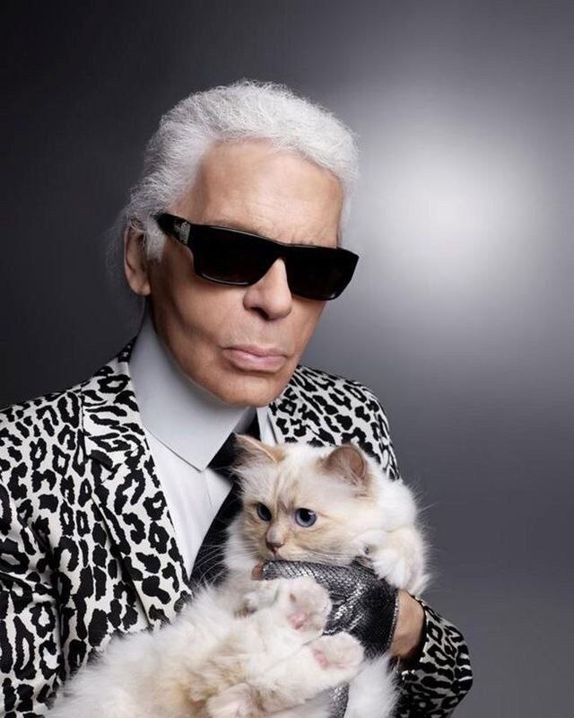    . .  1.   (Karl Lagerfeld, . ... - 5