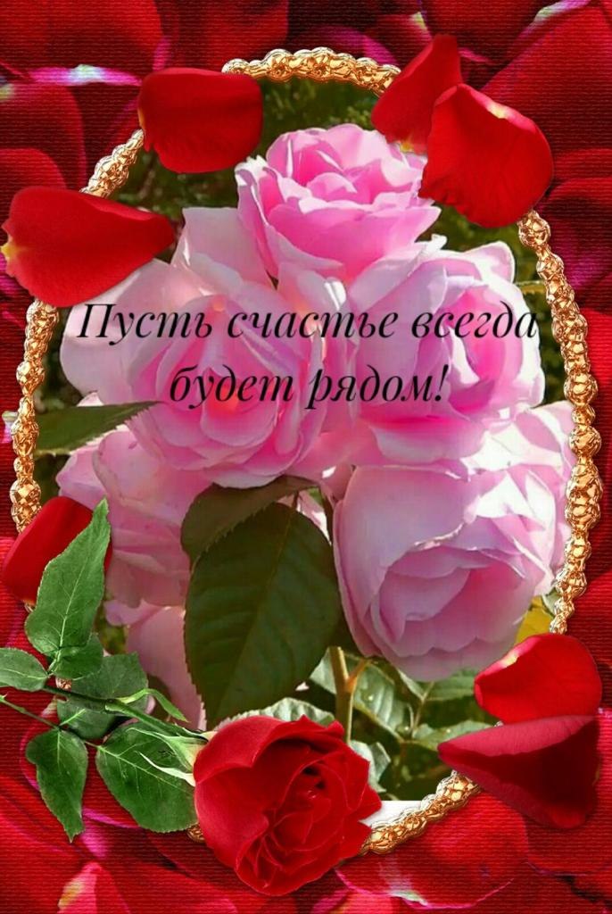   ,    . - 12  2020  13:59 - 2