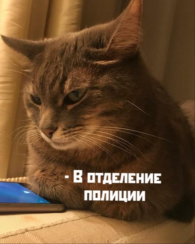       - 2  2020  18:42 - 3