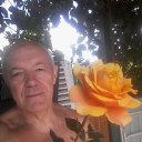 ���� Tolik, ���������, 72 ���� - ��������� 4 ����� 2020 � ������ ���� ����������