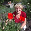 ���� ������, ������� - ��������� 1 ���� 2020 � ������ ���� ����������