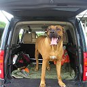 ���� ����, �������, 64 ���� - ��������� 7 ��� 2020 � ������ ���� ����������