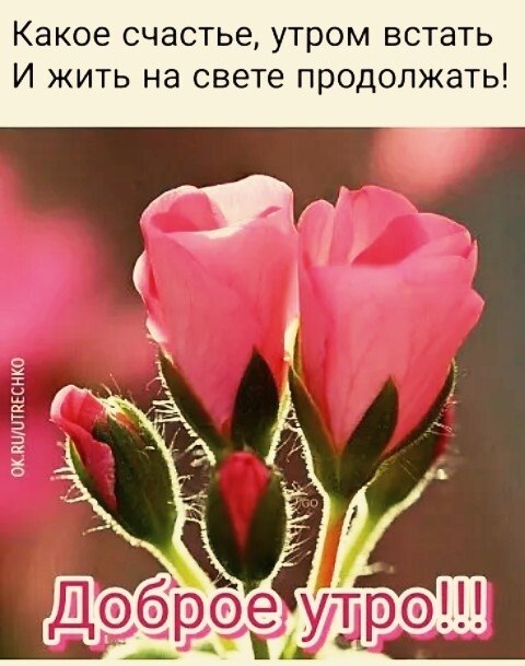 🌺🌼🌺КРАСИВЫЕ ОТКРЫТКИ🌺🌼🌺