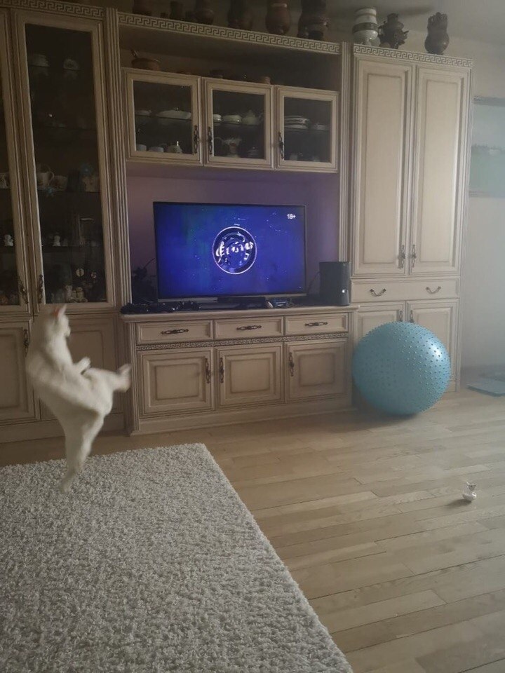 ee pyco? ay a o o)))