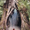 ���� �������, ���������, 67 ��� - ��������� 19 ����� 2020 � ������ ������ ��������