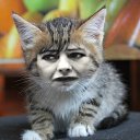 ���� ������, �������, 63 ���� - ��������� 15 ����� 2020 � ������ ���� ����������