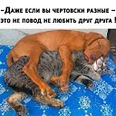 ���� ����, ������������, 52 ���� - ��������� 23 ������� 2020