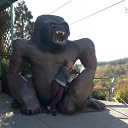 ��� �������� �� ������� ���� ����������