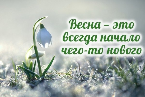   ,    . - 21  2020  18:56