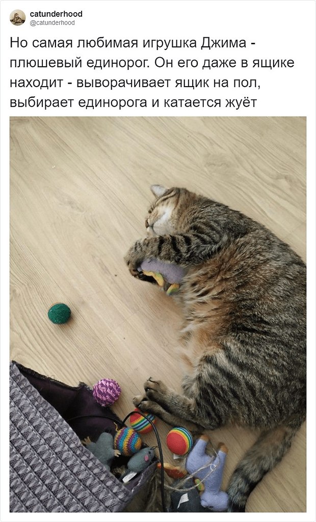  -  .        . - 7