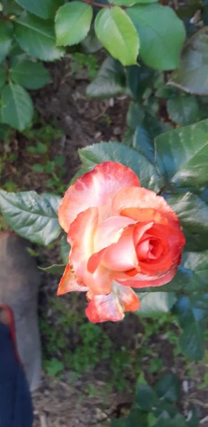  ******** - 28  2020  12:57 - 5