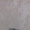 ���� ����, �������, 46 ��� - ��������� 8 ������ 2020 � ������ ���� ����������