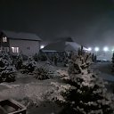  , --, 55  -  6  2020