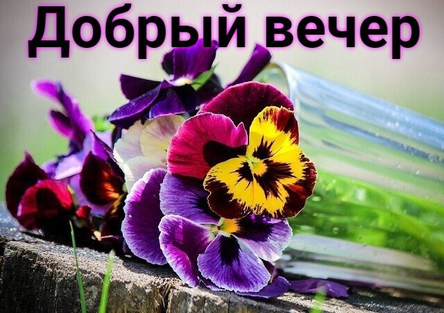 ПРИВЕТСТВИЯ и ПОЖЕЛАНИЯ, открытки на каждый день. - 10 апреля 2020 в 18:15