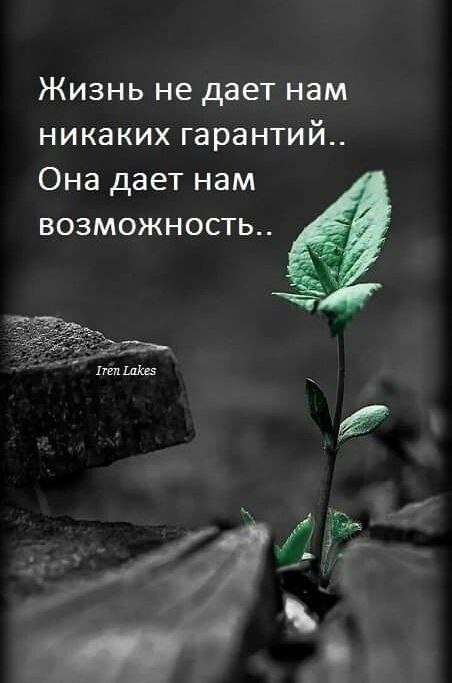  - 17  2020  16:43