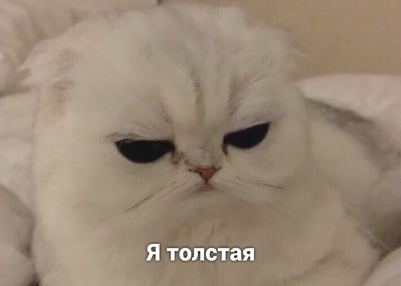 JPG - 27  2020  21:28