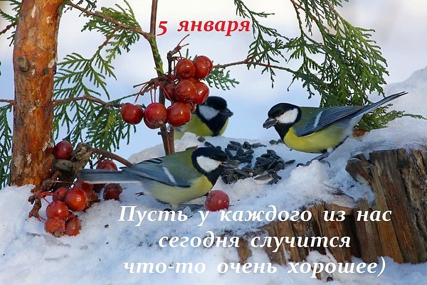   ,    . - 5  2020  16:47