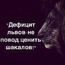 ���� ����, ������� - ��������� 8 ������� 2020 � ������ ���� ����������