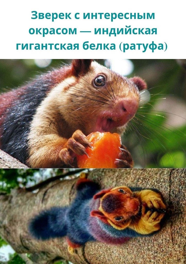 LIFE -  - 17  2020  19:06