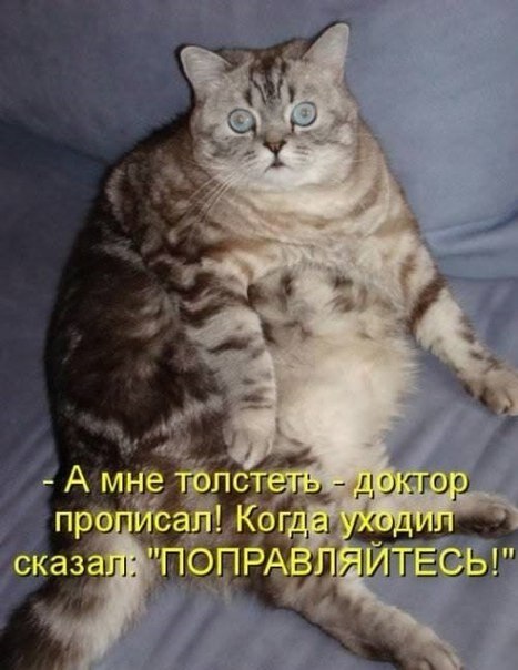    - 7  2020  18:39
