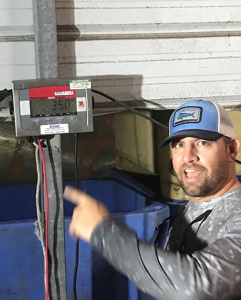 Me  aa oa ao oa  a Hyporthodus nigritus, ae e a ... - 4