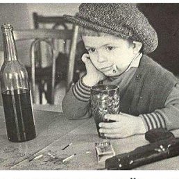 �����, �������, 44 ����