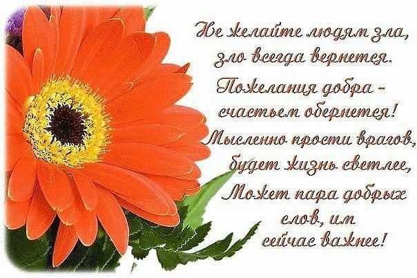   ,    . - 31  2020  06:58