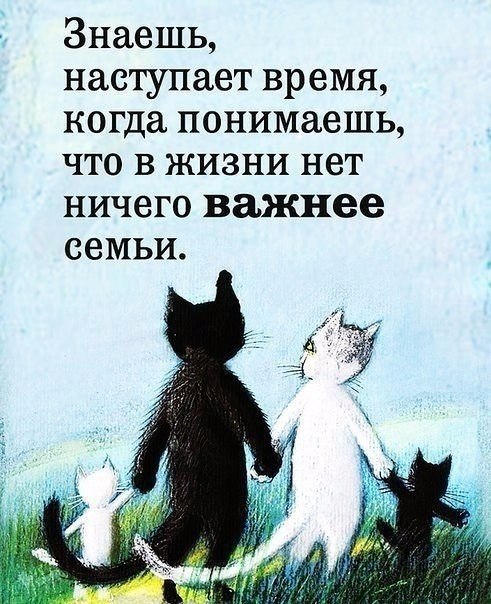   - 12  2020  15:13