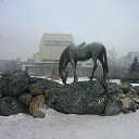 ���� �������, ����������, 56 ��� - ��������� 27 ��� 2020 � ������ ���� ����������