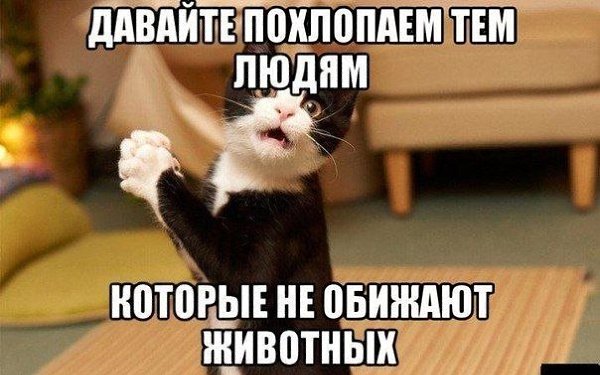 ������� - 2 ������� 2020 � 19:16