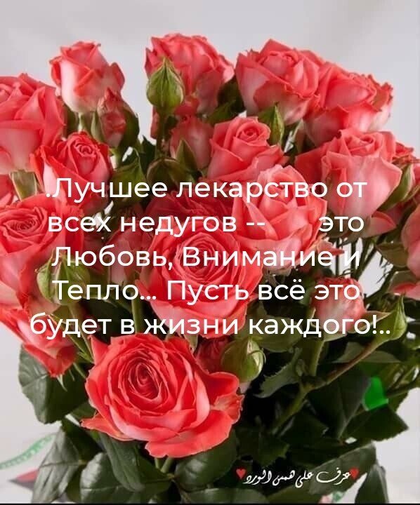   ,    . - 21  2020  12:45