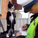 ���� �������, ������������ - ��������� 26 ������ 2020 � ������ �1�