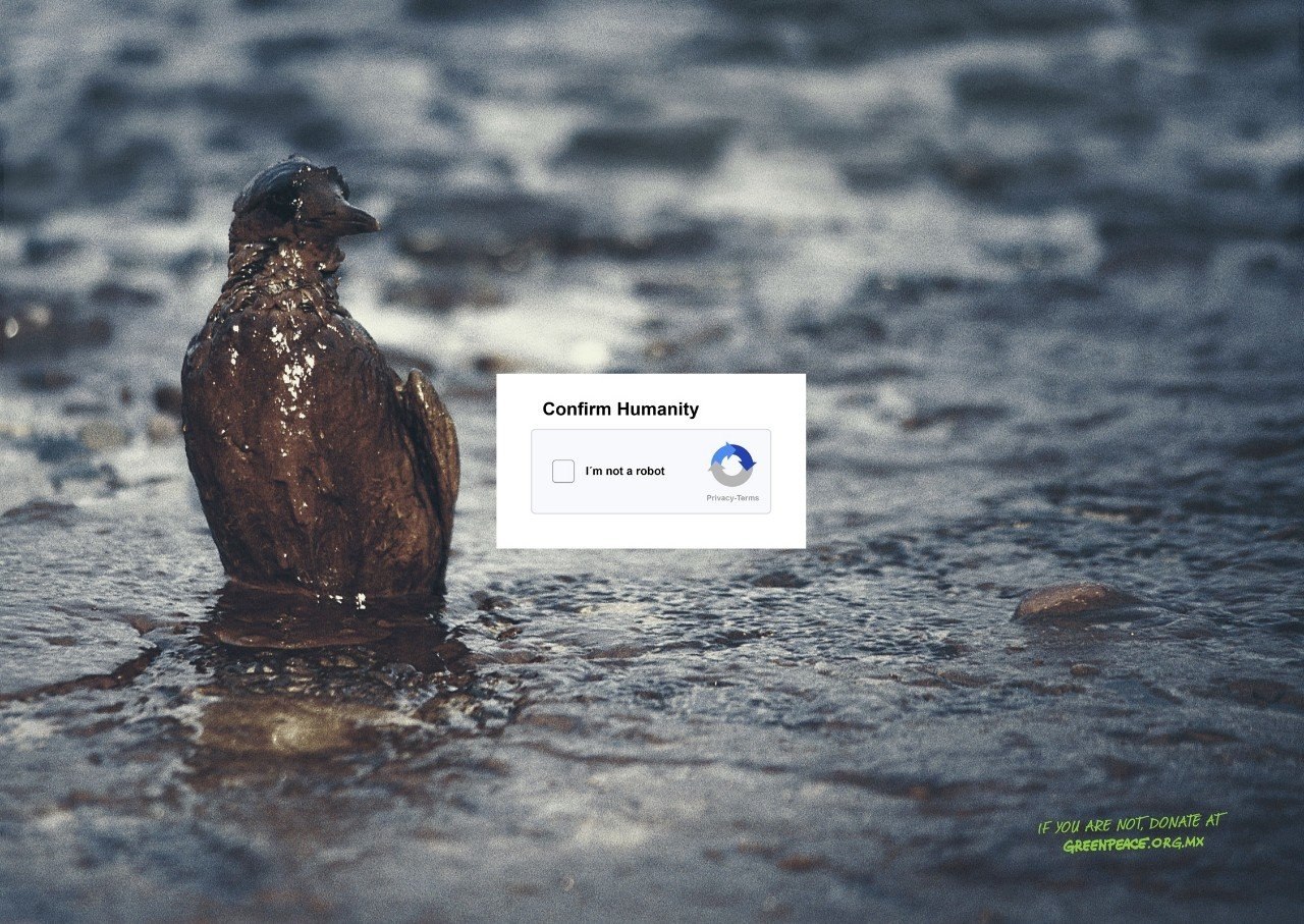 o o Greenpeace: 