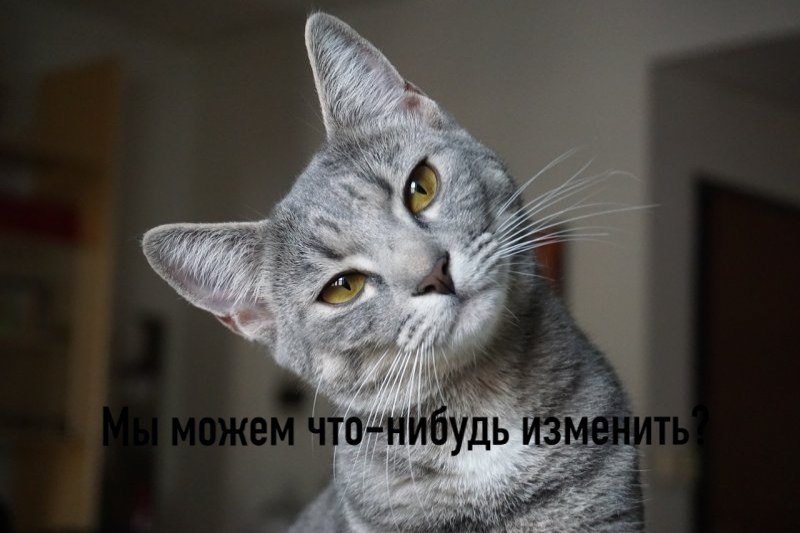       - 17  2020  18:41