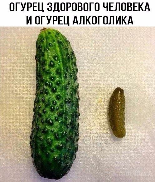������� - 10 ������ 2020 � 19:13