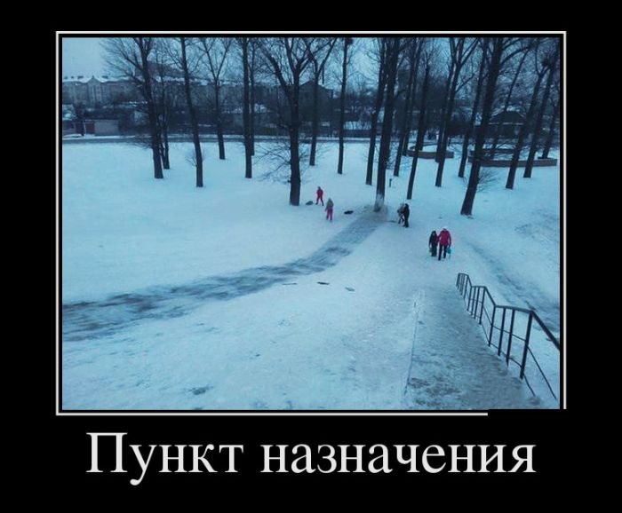   - 21  2020  03:41