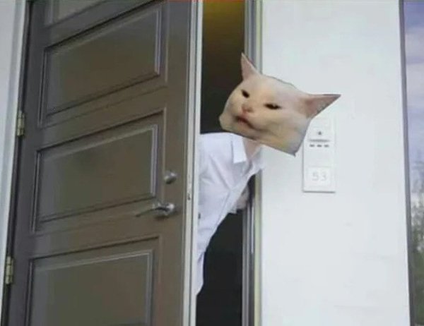 - - 3