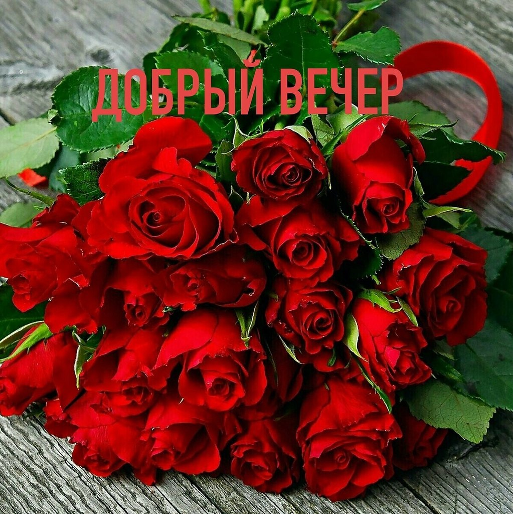   ,    . - 9  2020  17:29 - 2