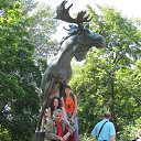 ���� �������, �����������, 65 ��� - ��������� 7 ��� 2020 � ������ ���� ����������